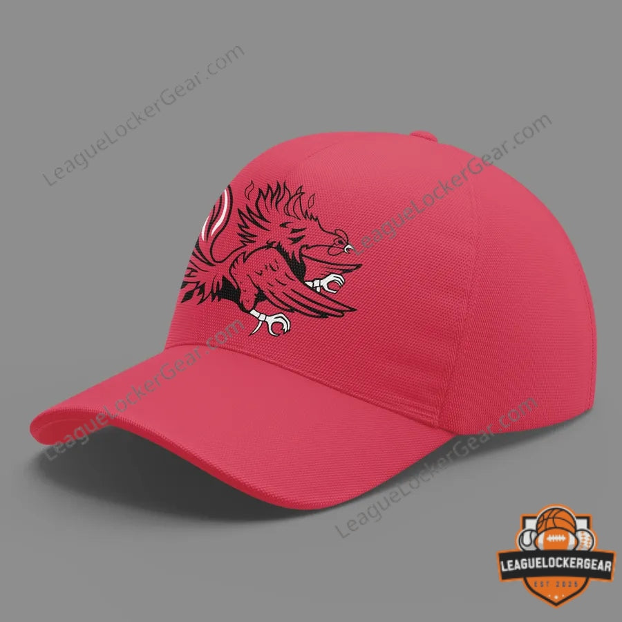Darius Rucker BORN Gamecocks Hoodie - LeagueLockerGear